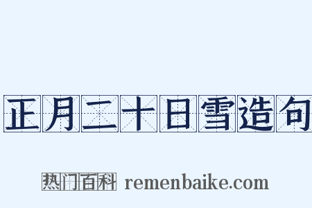 正月二十日雪造句是什么意思的图片